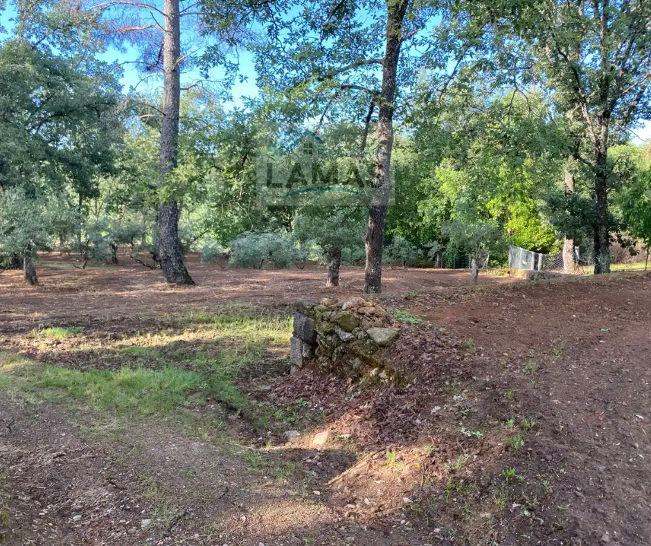 Finca rústica en venta en Valverde de la Vera con Jardín privado, Terraza y Piscina
