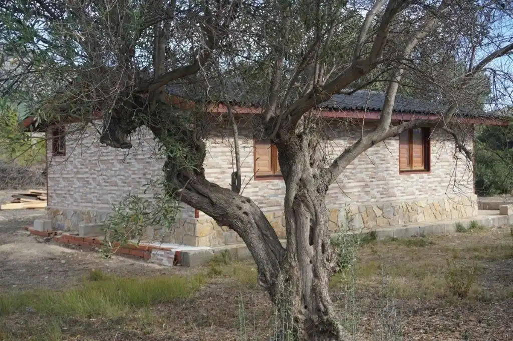 Exterior view of Land for sale in El Castell de Guadalest