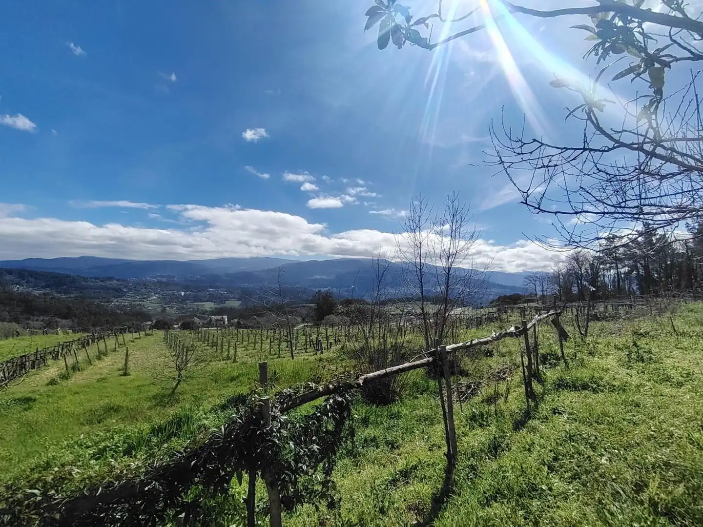 Casa o chalet en venta en Crecente con Calefacción