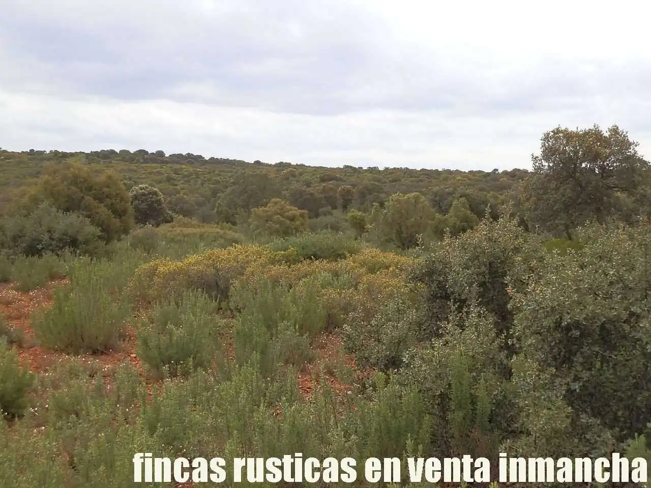 Terreno rustico in vendita a Ruidera, imagen 17