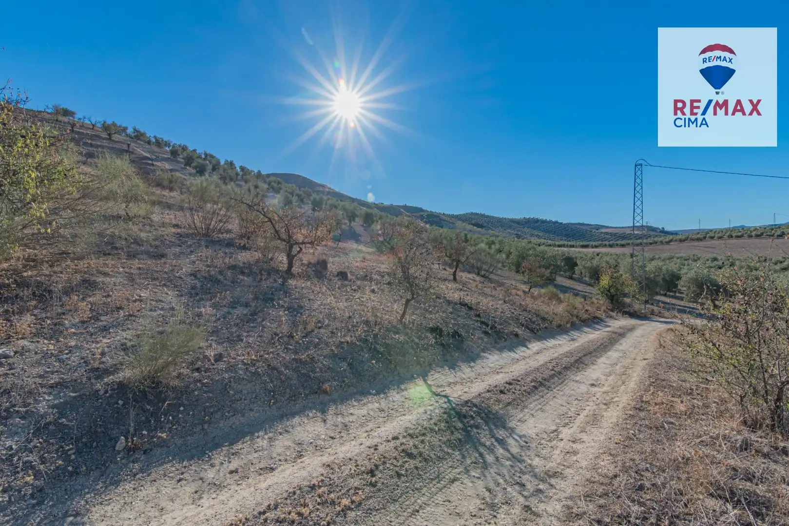 Land for sale in Santa Cruz del Comercio