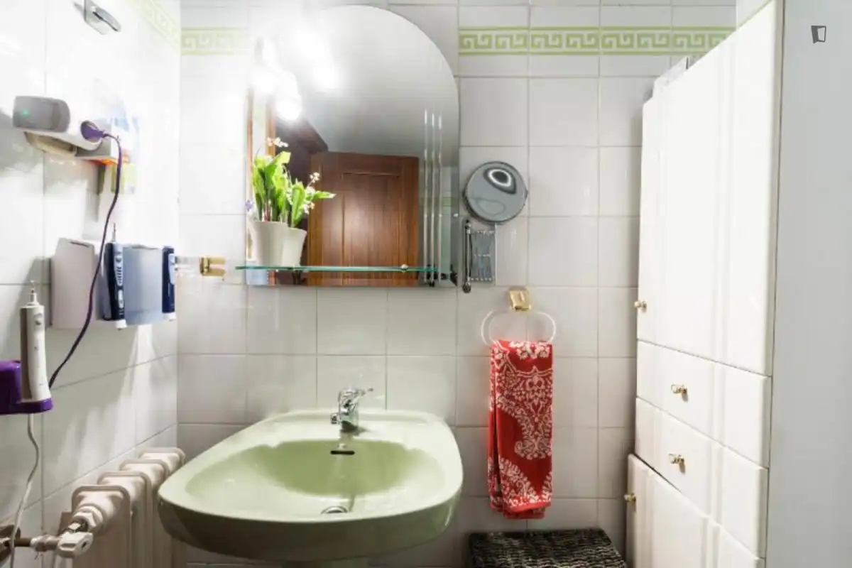 Bathroom of Apartments for rent in Madrid  with Air Conditioner, Heating and Furnished