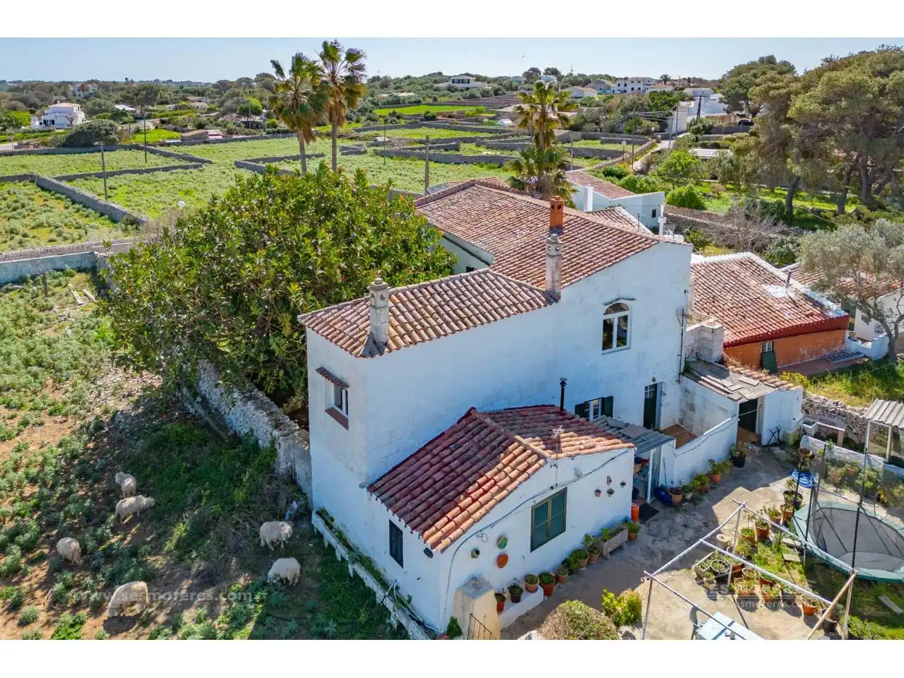 Casa rustica con giardino in vendita a Sant Lluís - S'Ullestrar - Torret, imagen 4