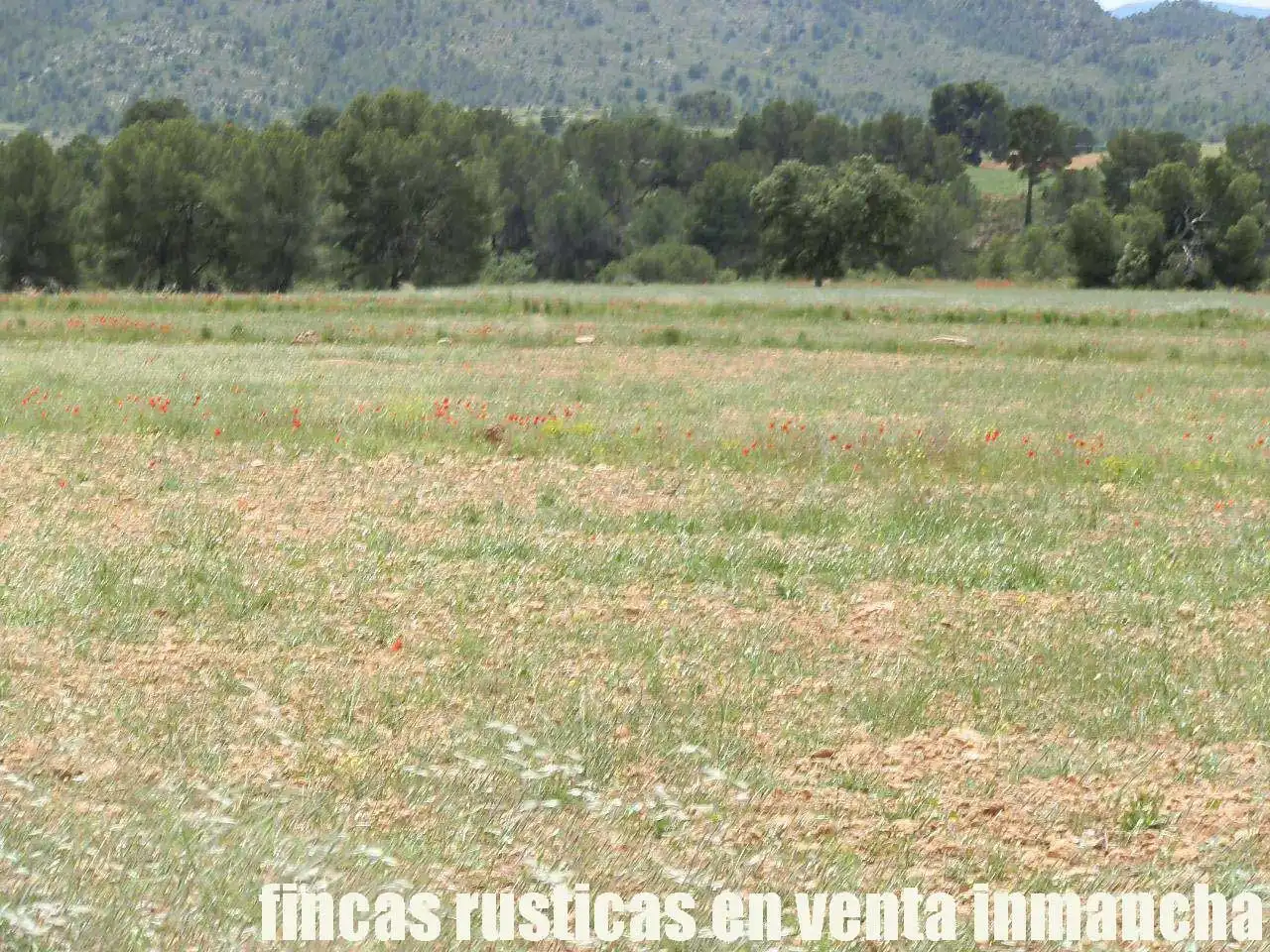 Terreni e lotti in vendita a Elche de la Sierra, imagen 30