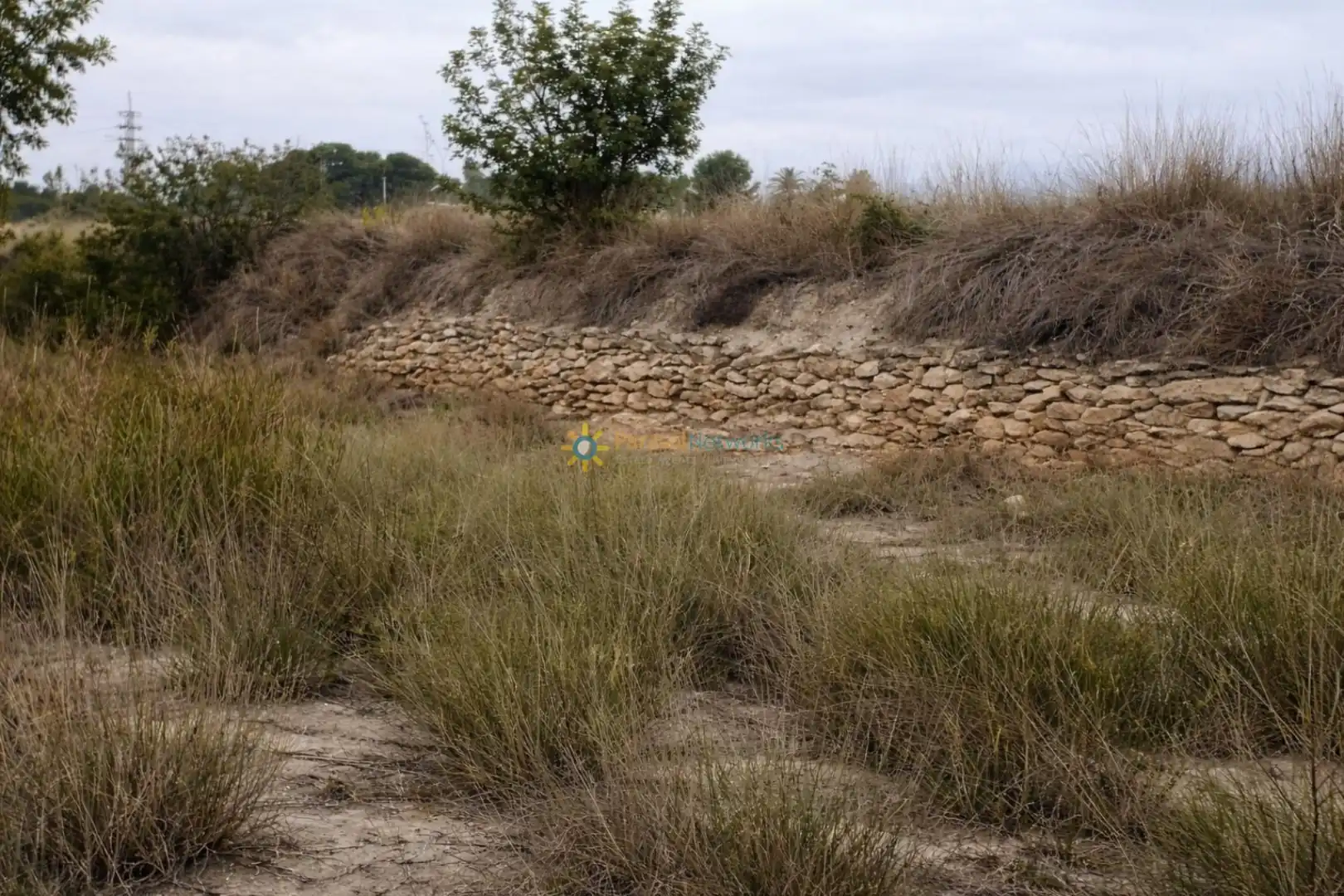 Finca rústica en venda en Albaida amb Jardí privat