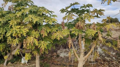 Foto 3 de Casa adosada en venda a El Secanet - Hacienda del Sol, Alicante