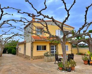 Jardí de Casa o xalet en venda en Amposta amb Terrassa