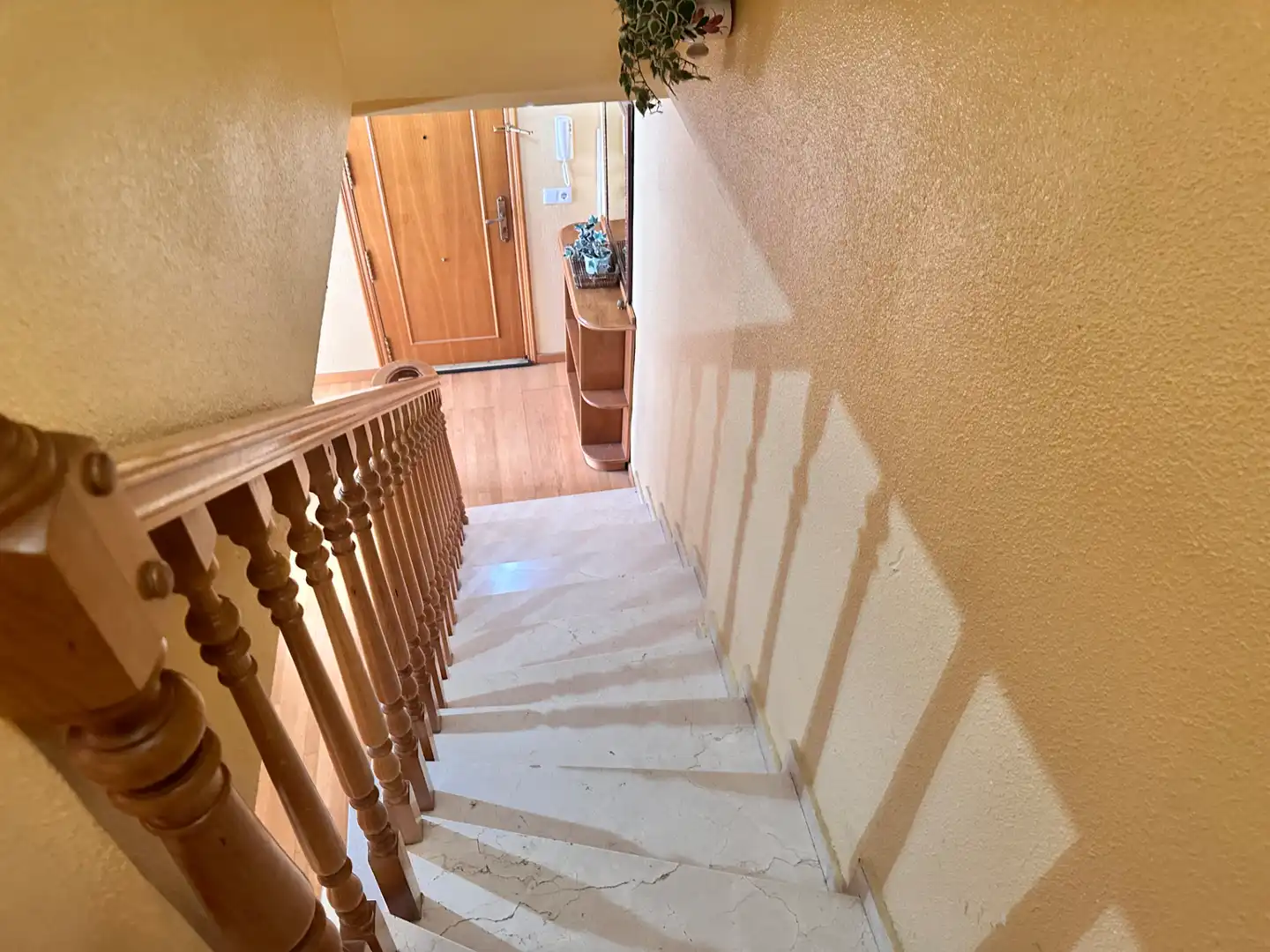 Flat for share in Centro