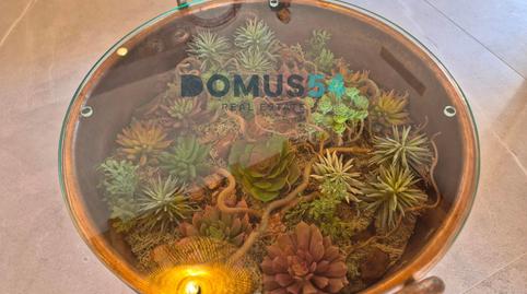 Photo 4 of Country house to rent in Muro, Illes Balears