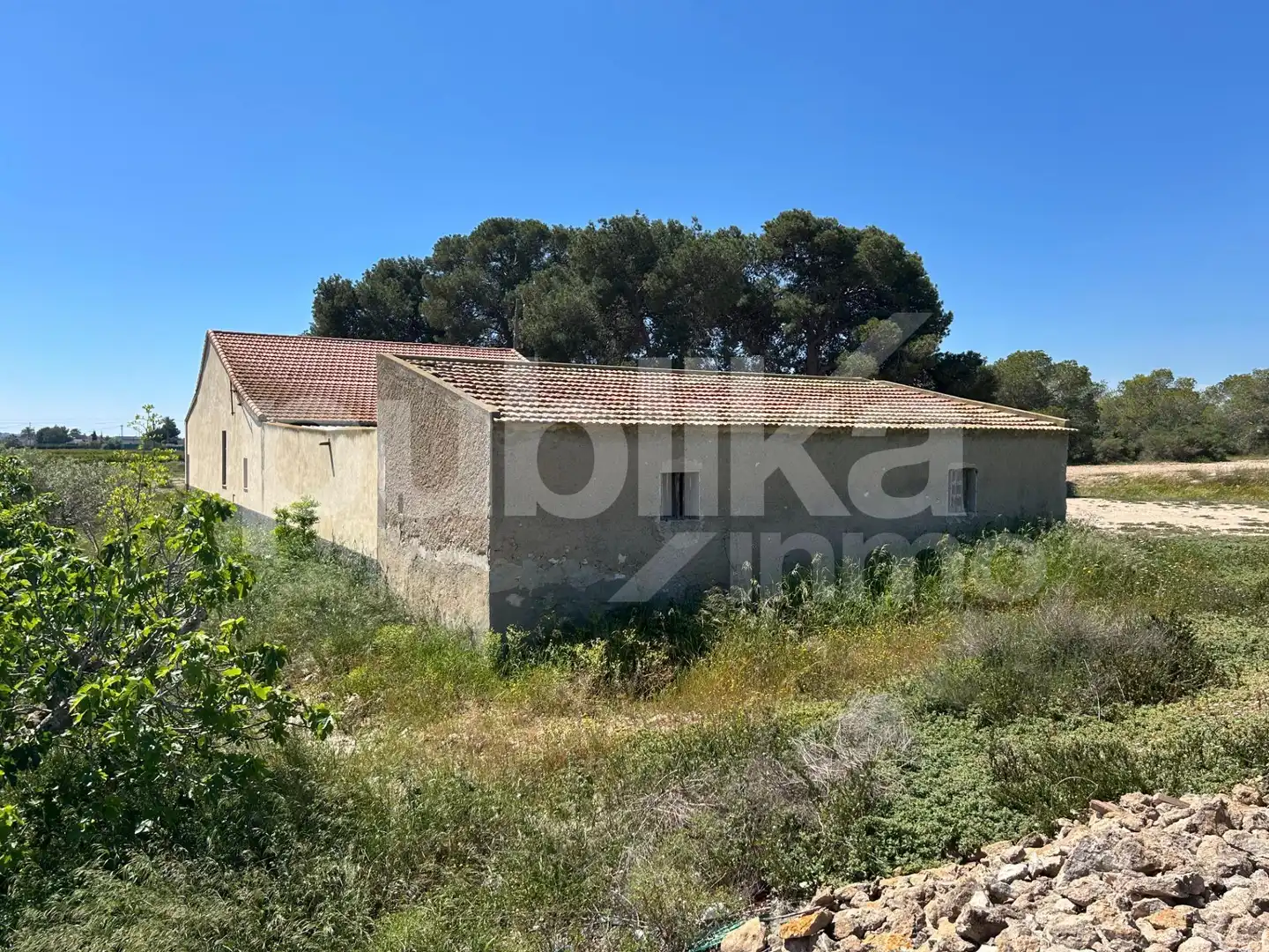 Finca rústica en venda en Elche / Elx amb Jardí privat