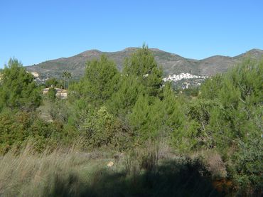 Terreny residencial en venda a Xaló