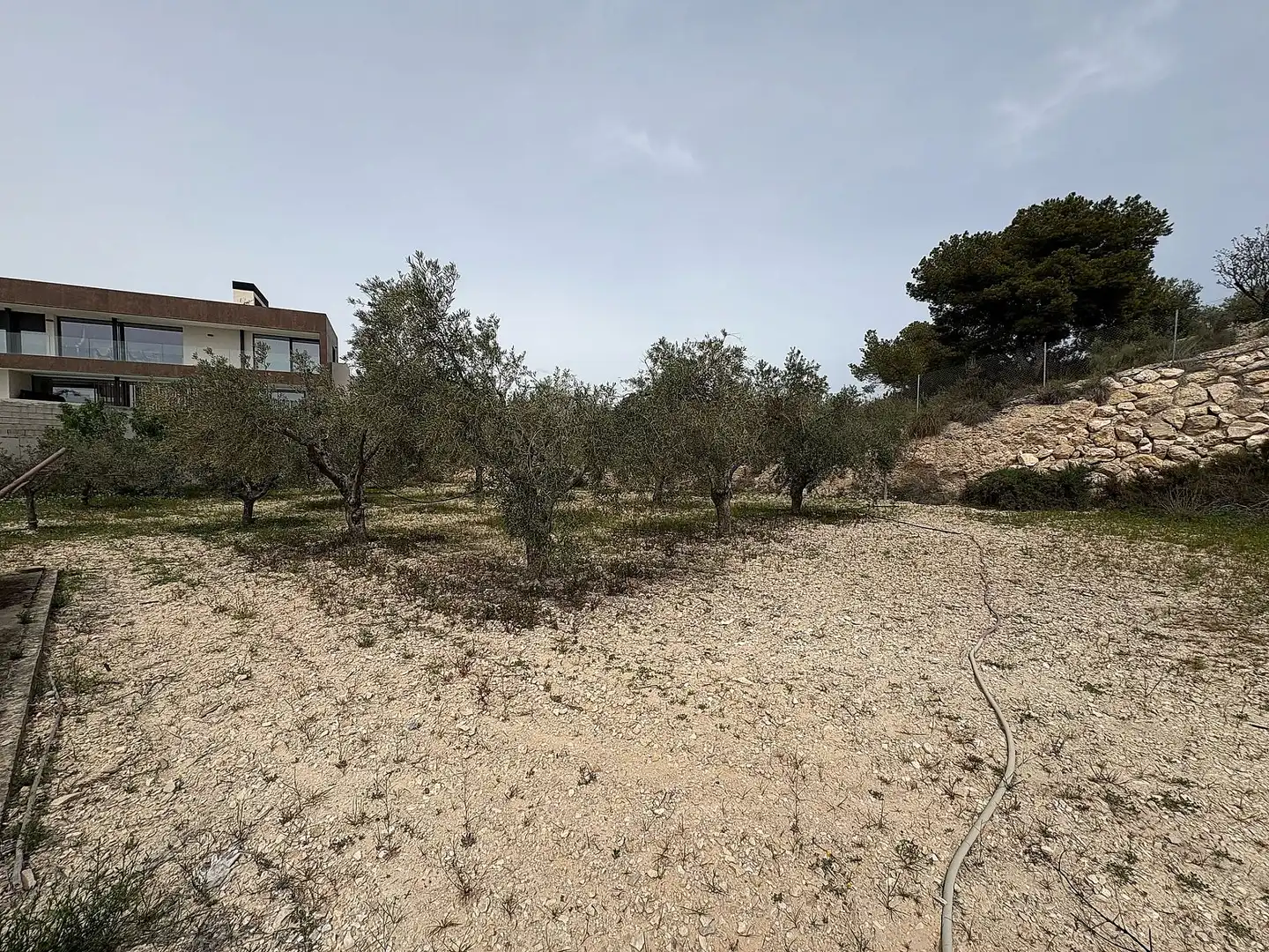 Finca rústica en venta en Petrer