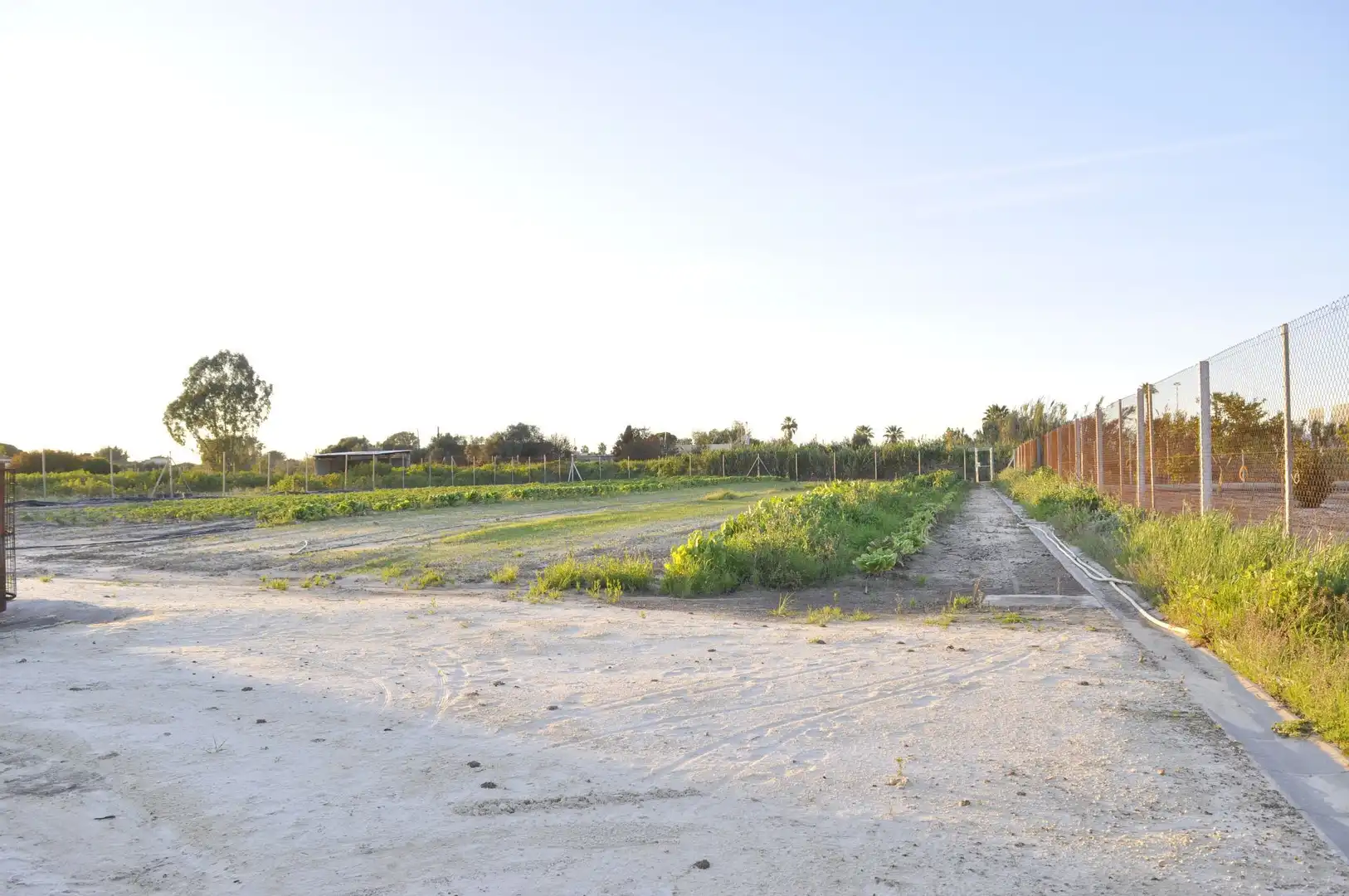 Haus mit Garten zum Verkauf in Caballero Bonald - San José Obrero - Guadalcacín, imagen 23