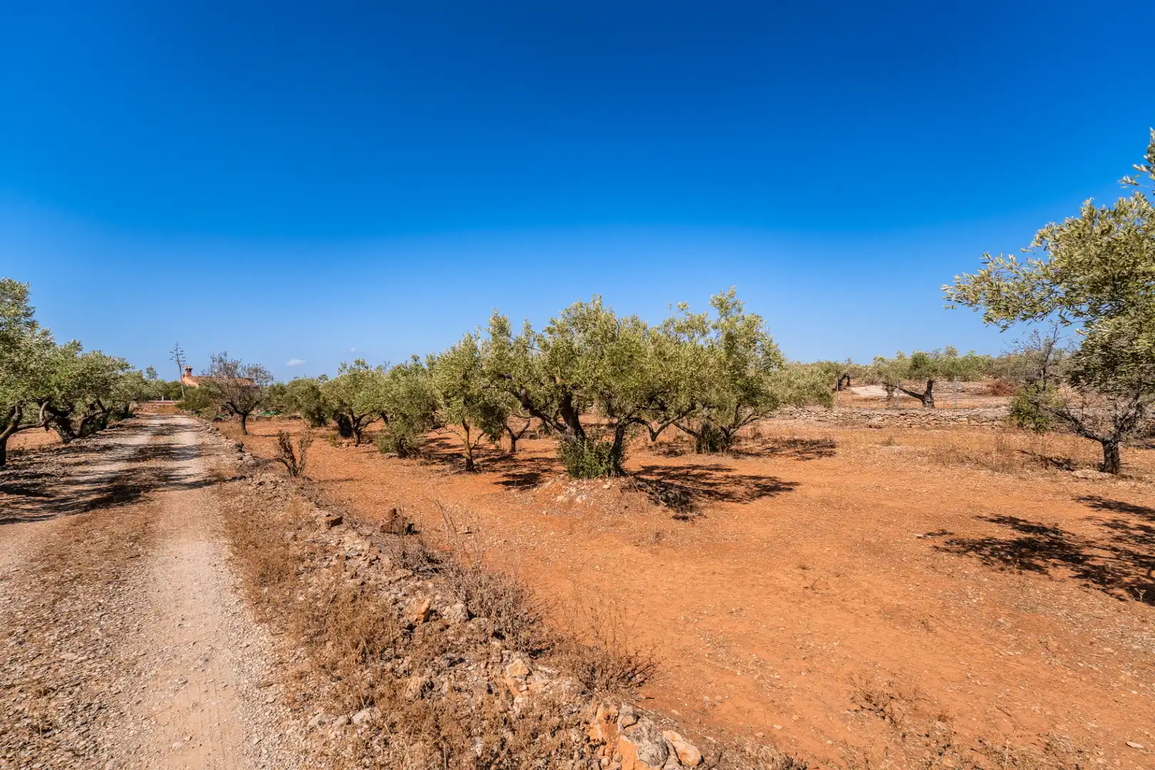 Houses for sale in L'Ampolla  with Private garden, Terrace and Storage room