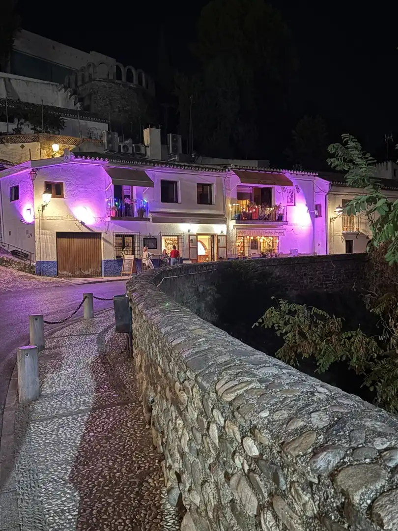 Maison avec terrasse à vendre à Camino DEL SACROMONTE 101, imagen 11