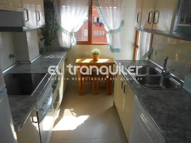 Kitchen of Flat for sale in Madrid  with Air Conditioner, Terrace and Furnished