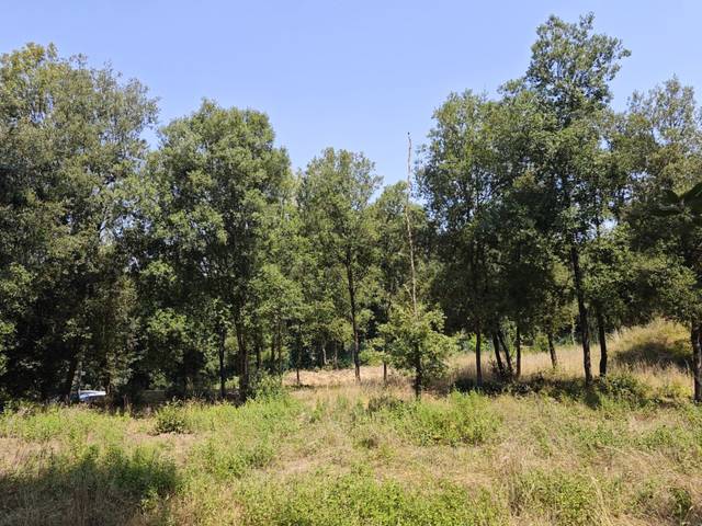 Terreno residencial en Venta en DE SALVADOR ESPRIU en Sant Quirze Safaja