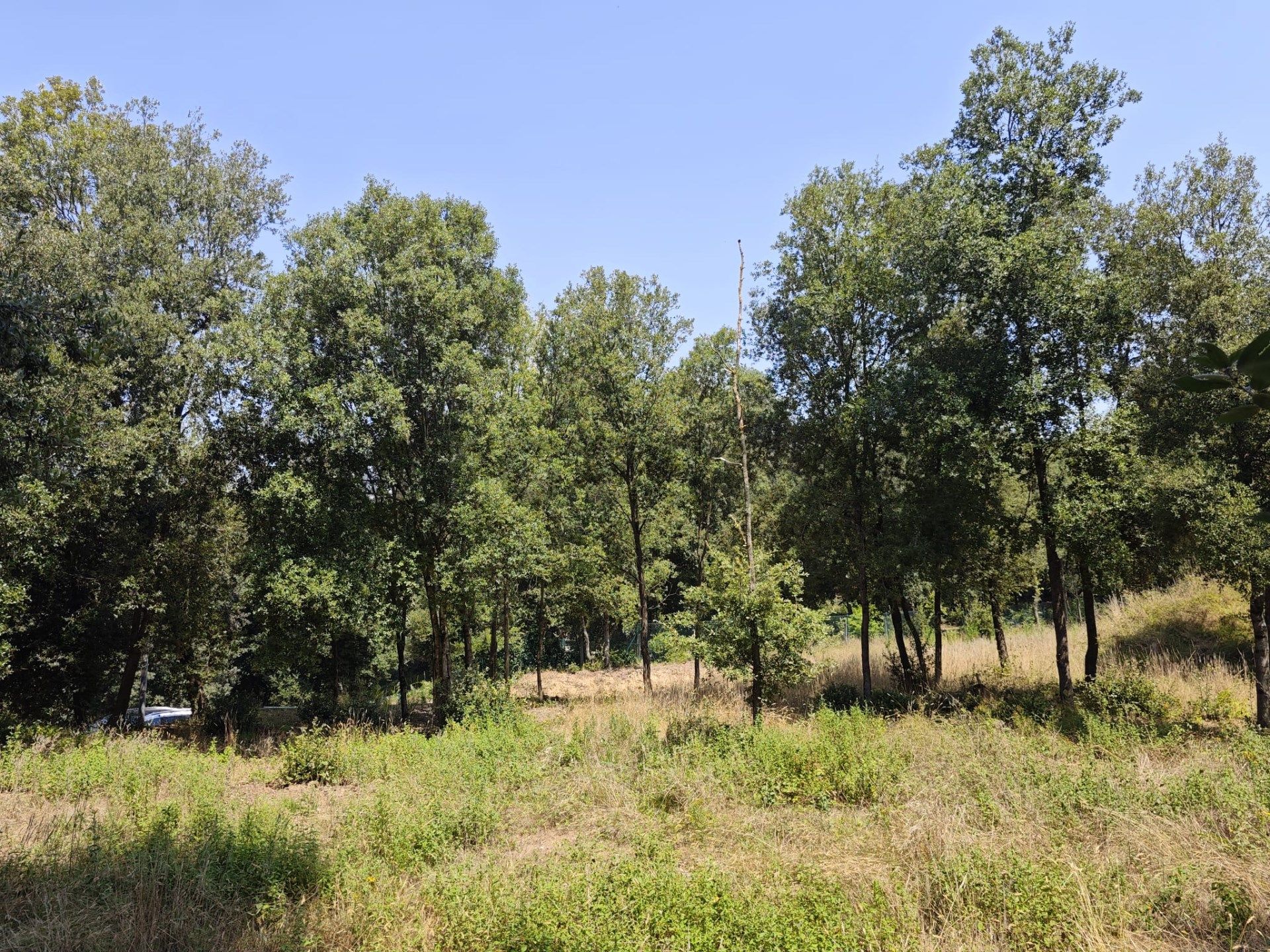 Residencial en venda a DE SALVADOR ESPRIU, Sant Quirze Safaja