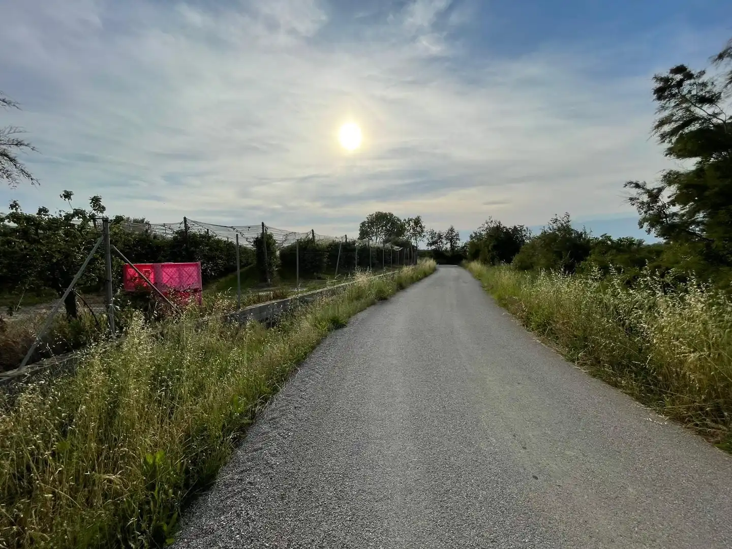 Rural land for sale in Sant Pere Pescador, imagen 29