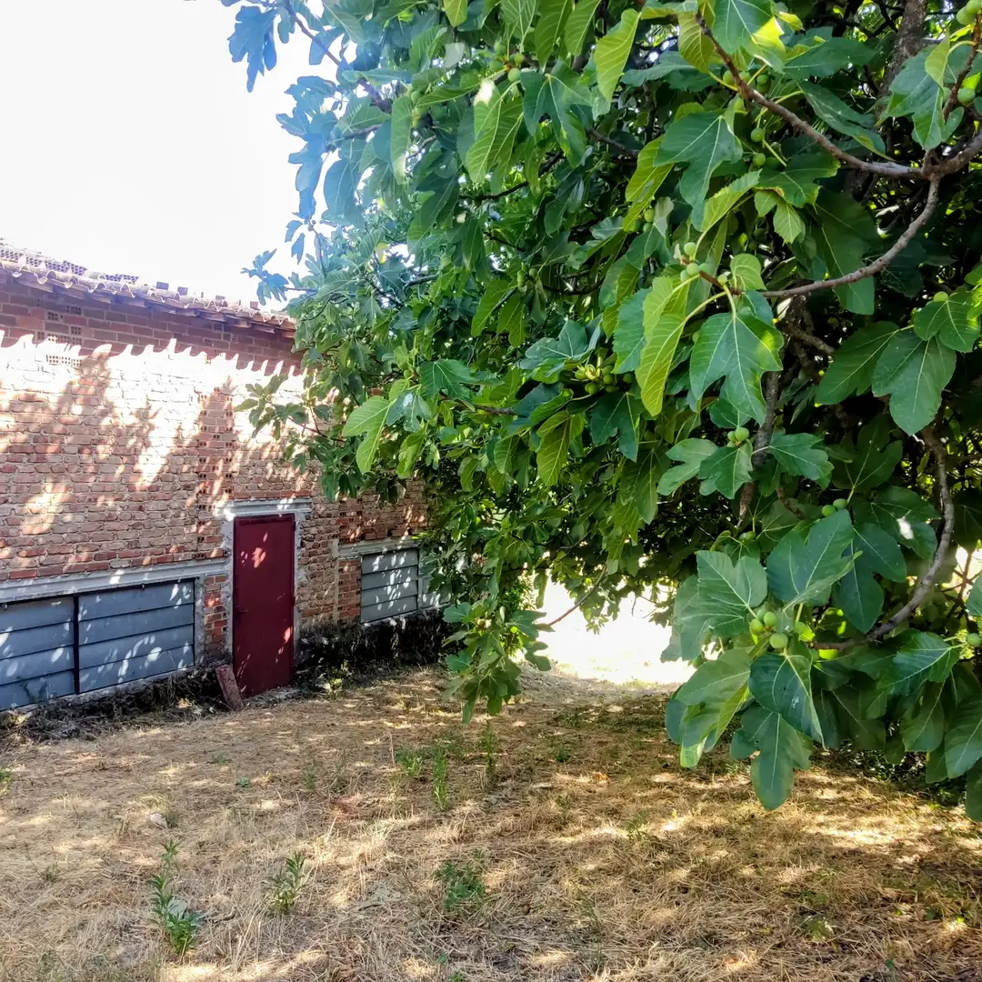 Terreni e lotti in vendita a Calle el Tablao