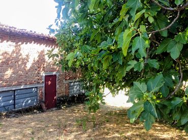 Terreno rústico en venta en Calle el Tablao