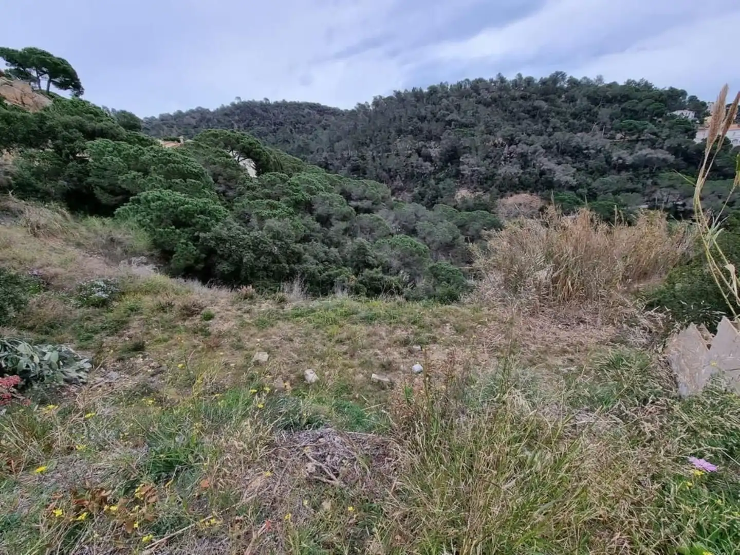 Terrenos y solares en venta en Serra Brava, imagen 18
