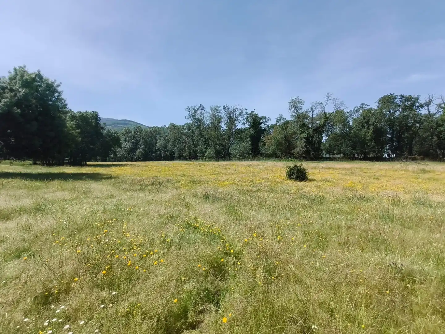 Residential for sale in Hervás