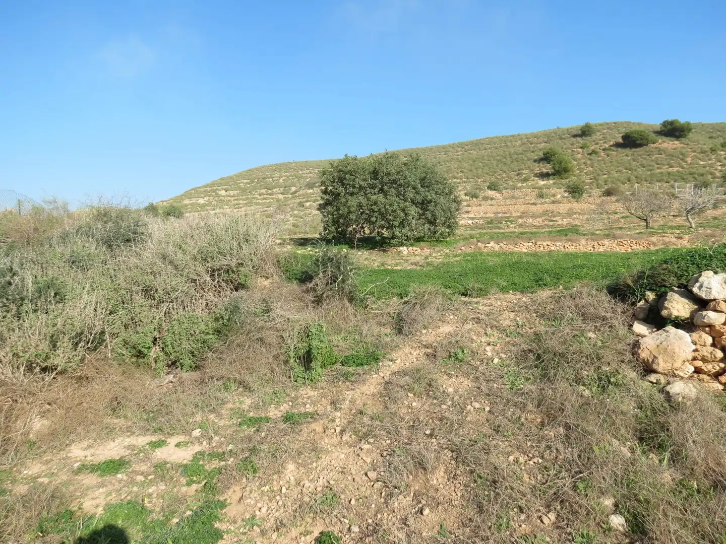 Terreni e lotti in vendita a Pedanías Oeste, imagen 8