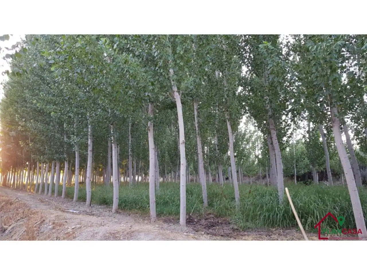 Exterior view of Land for sale in Purullena