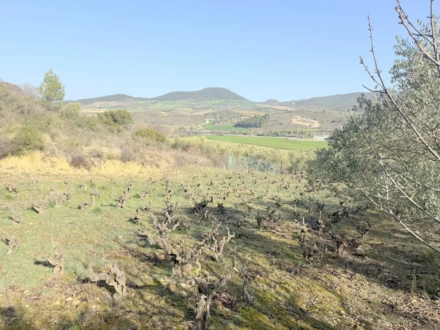 Terreno en venta en Cirauqui / Zirauki