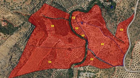 FINCA DE 2700 OLIVOS EN ALGARINEJO GRANADA