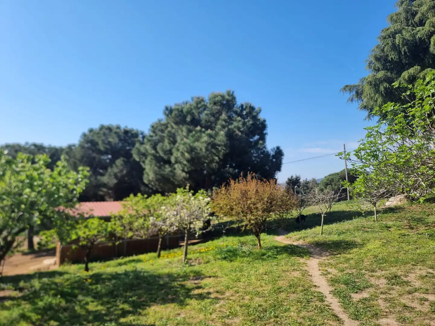 Casa o xalet en venda a Argentona Est