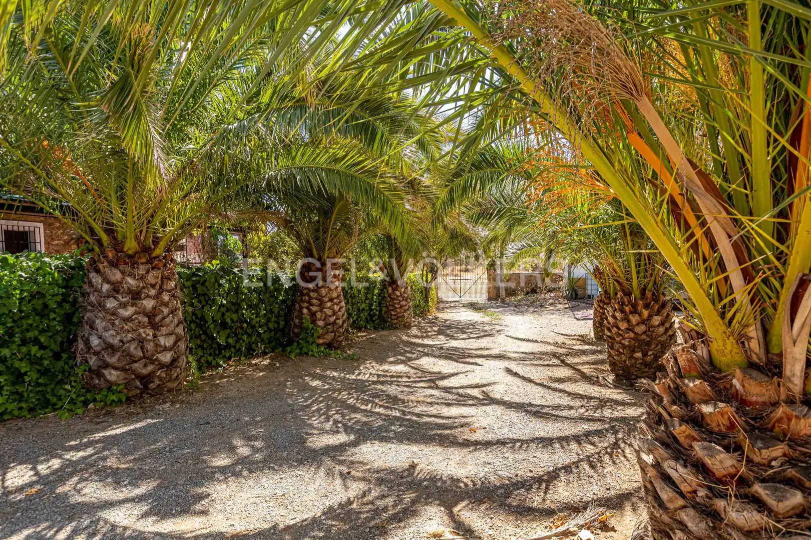 Vista exterior de Casa o chalet en venta en Bienvenida con Calefacción y Jardín privado
