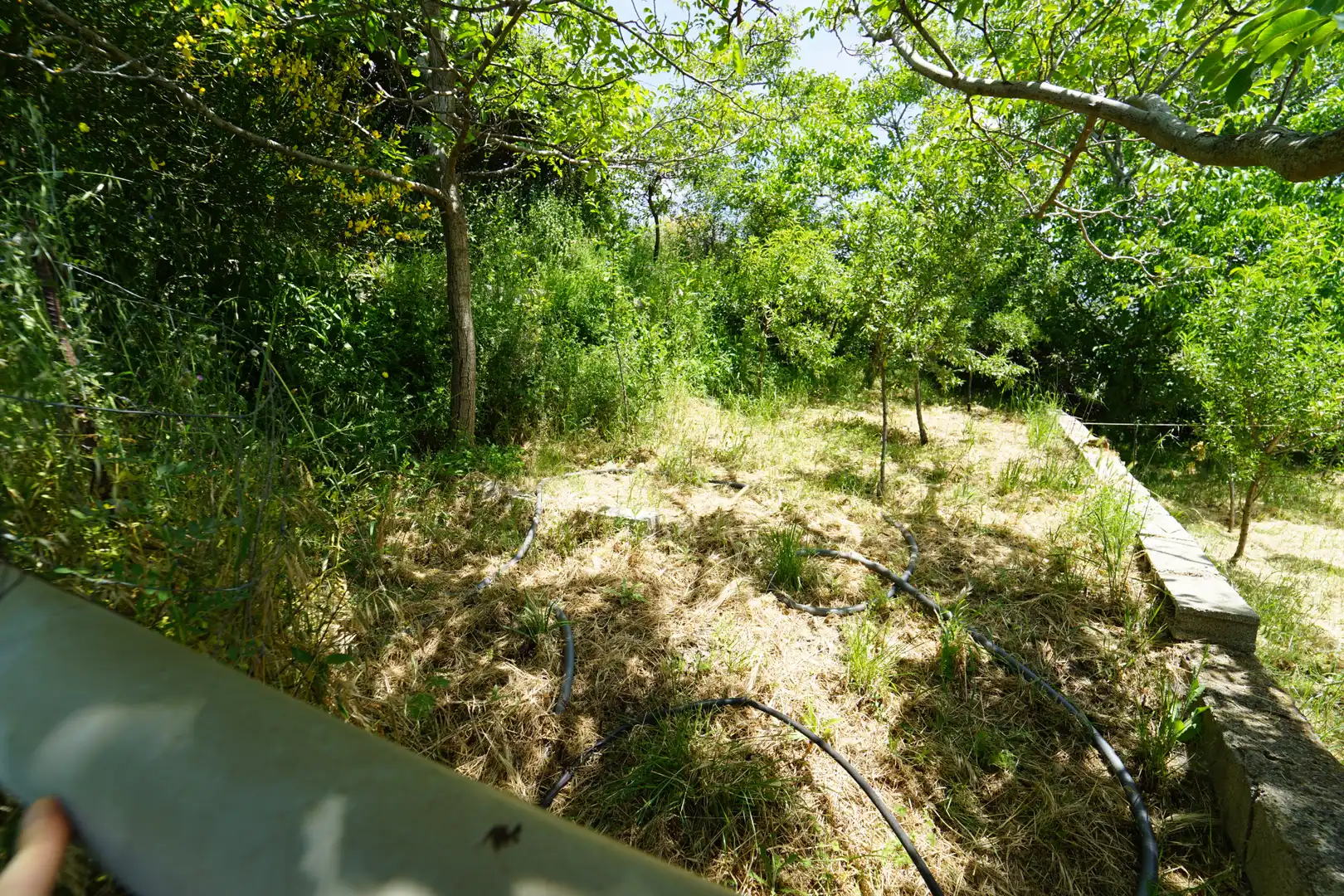 Finca rústica en venda en La Taha amb Terrassa i Moblat