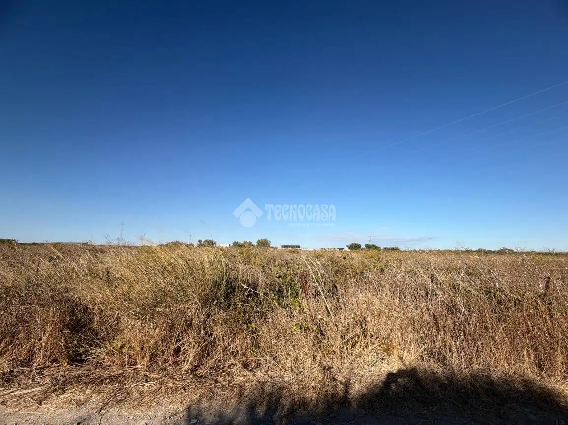 Terreno rústico en venta en Los Franceses – La Vega, imagen 11
