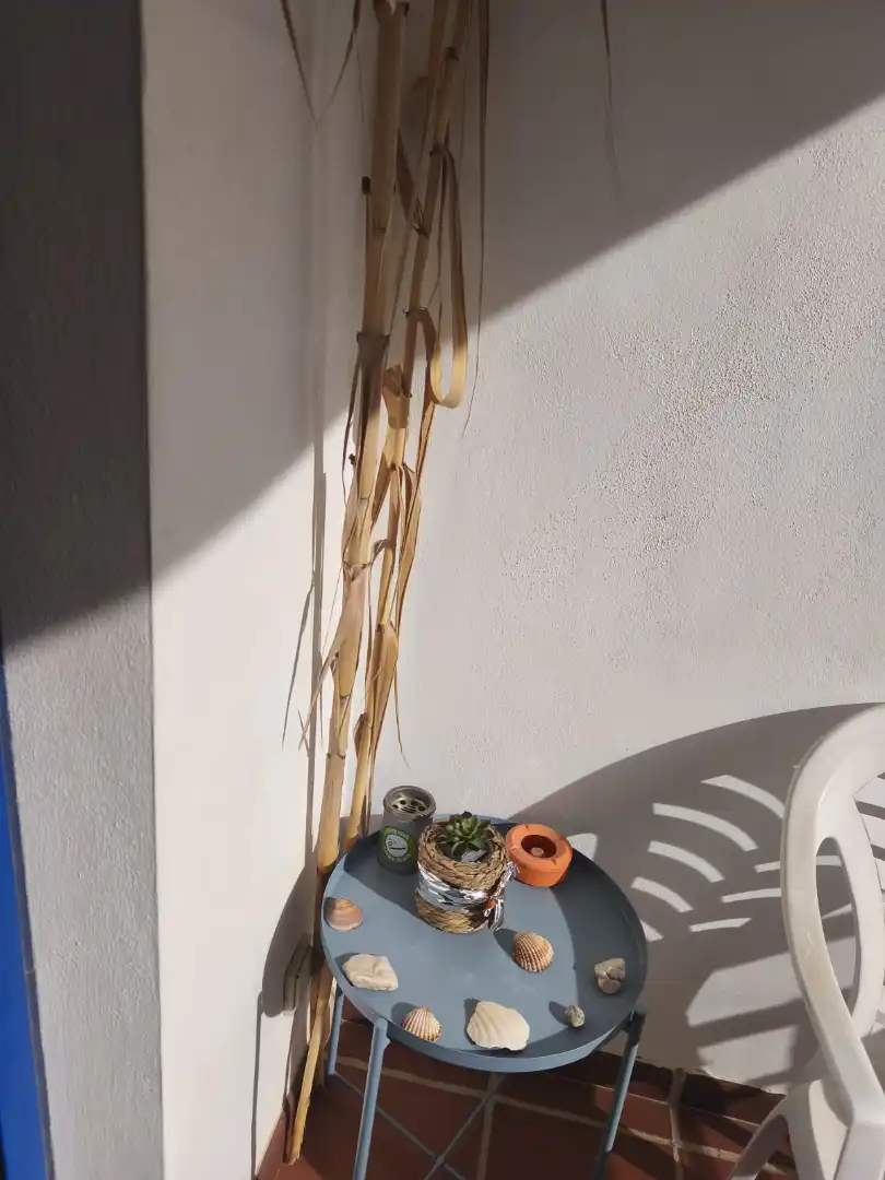 Flat with pool for sale in Paseo del Cortijo 3, imagen 13
