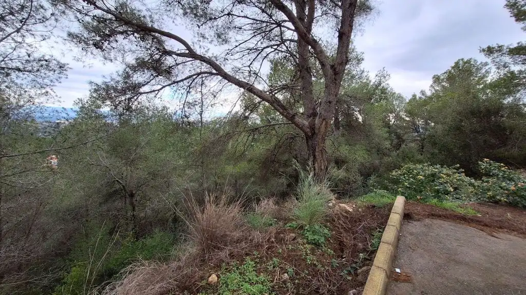 Terreno residencial en venta en Carrer l'Alcoià, imagen 9