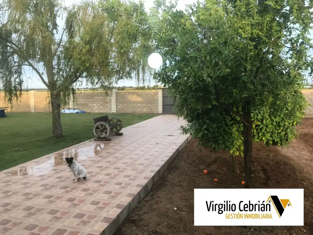 Country house with garden for sale in Centro, imagen 8