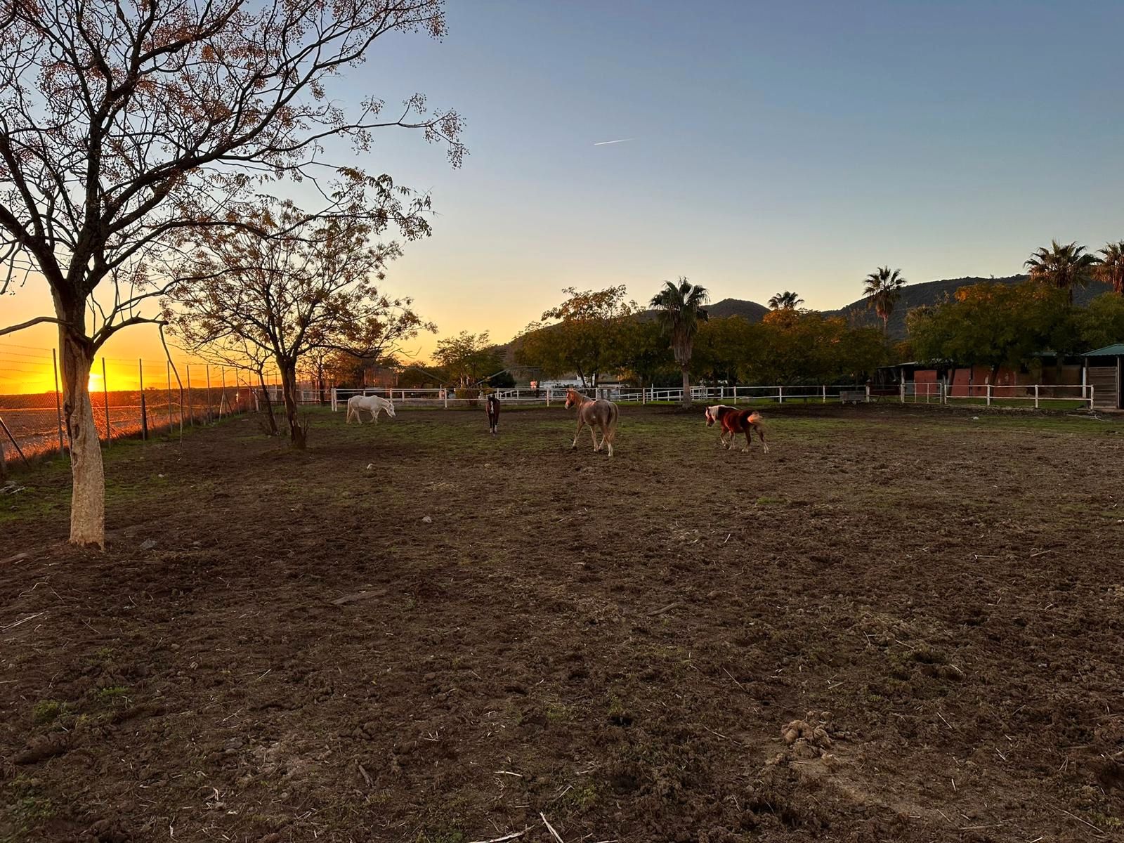 Exterior view of Country house for sale in  Córdoba Capital