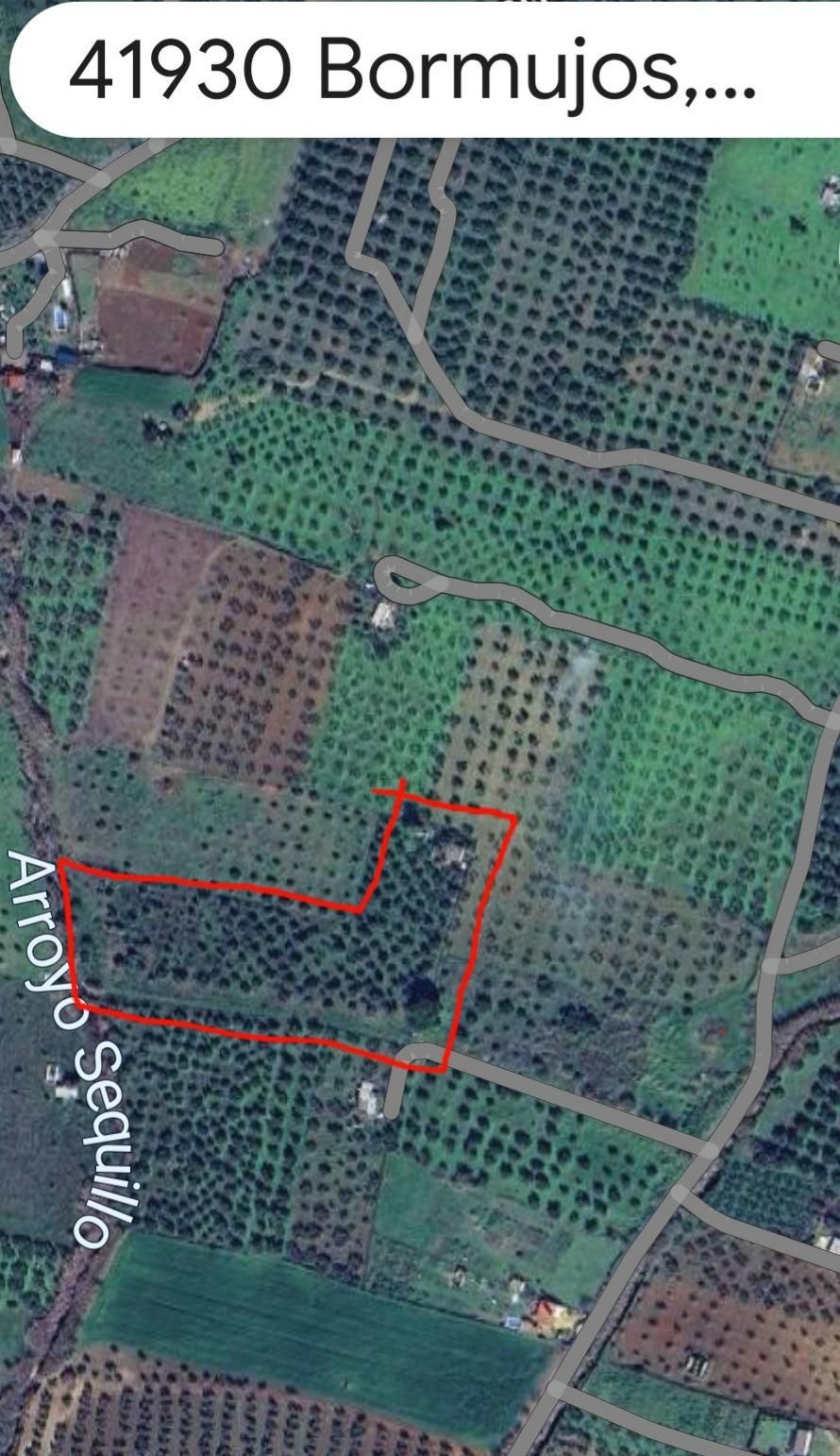 Land for sale in Bormujos