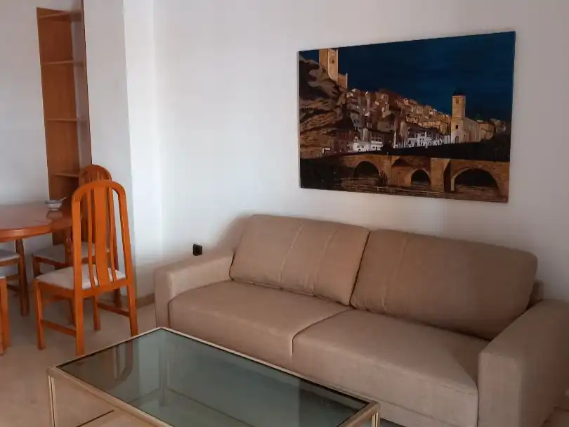 Sala d'estar de Apartament de lloguer en Ensanche - Franciscanos