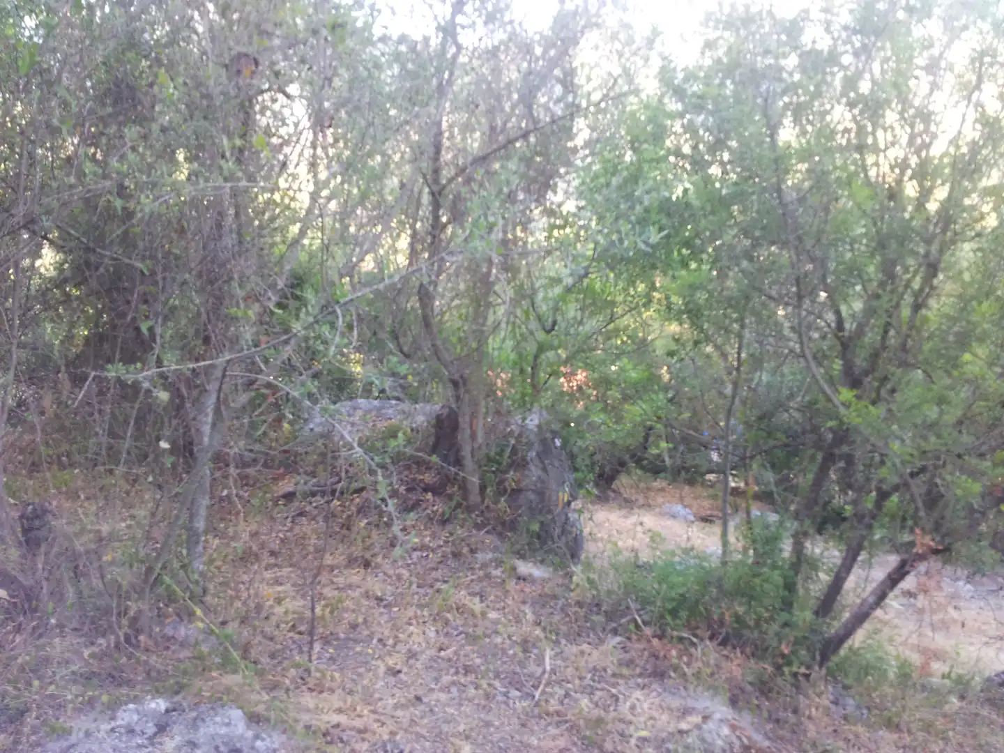 Finca rústica en venta en Ubrique