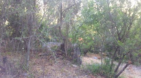 Foto 3 de Finca rústica en venta en Ubrique, Cádiz