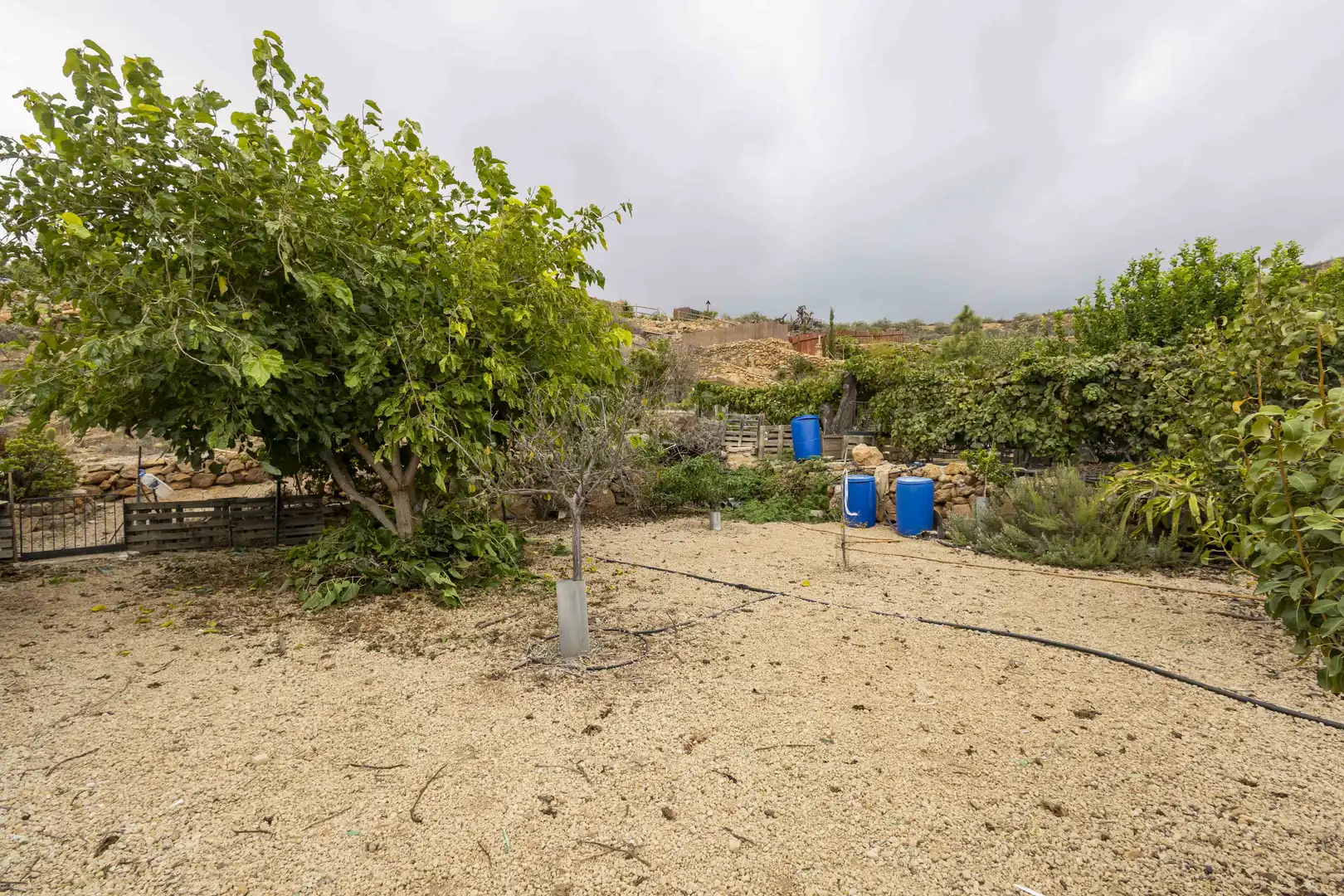 Terreno rustico in vendita a Calle San Bartolomé, imagen 22