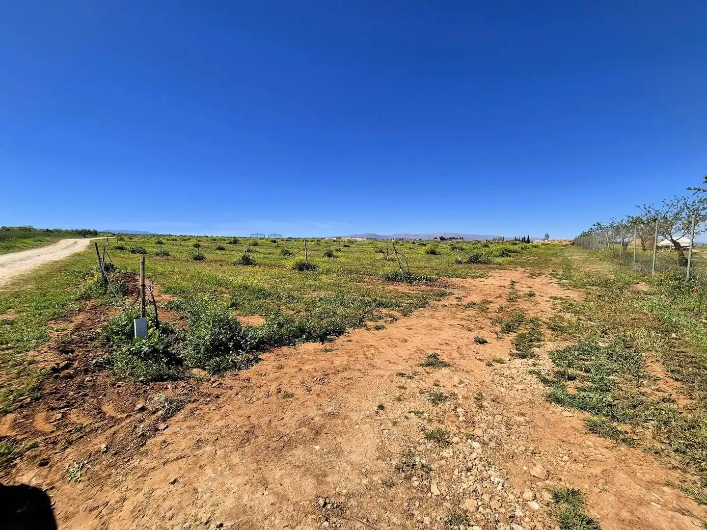 Terreny rústic en venda a Moraleda de Zafayona, imagen 24