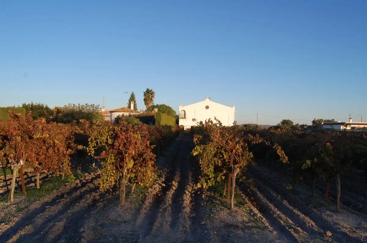 Vista exterior de Finca rústica en venta en El Puerto de Santa María con Aire acondicionado, Trastero y Piscina
