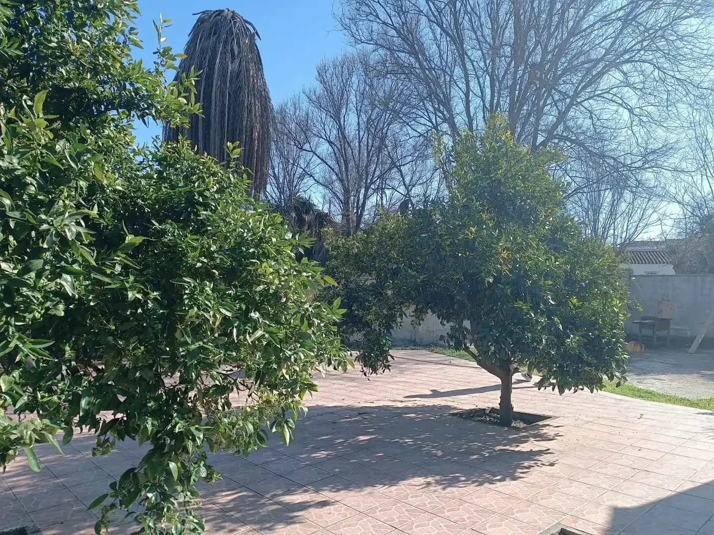 Detached house with garden for sale in Avenida Playa del Sol, imagen 5