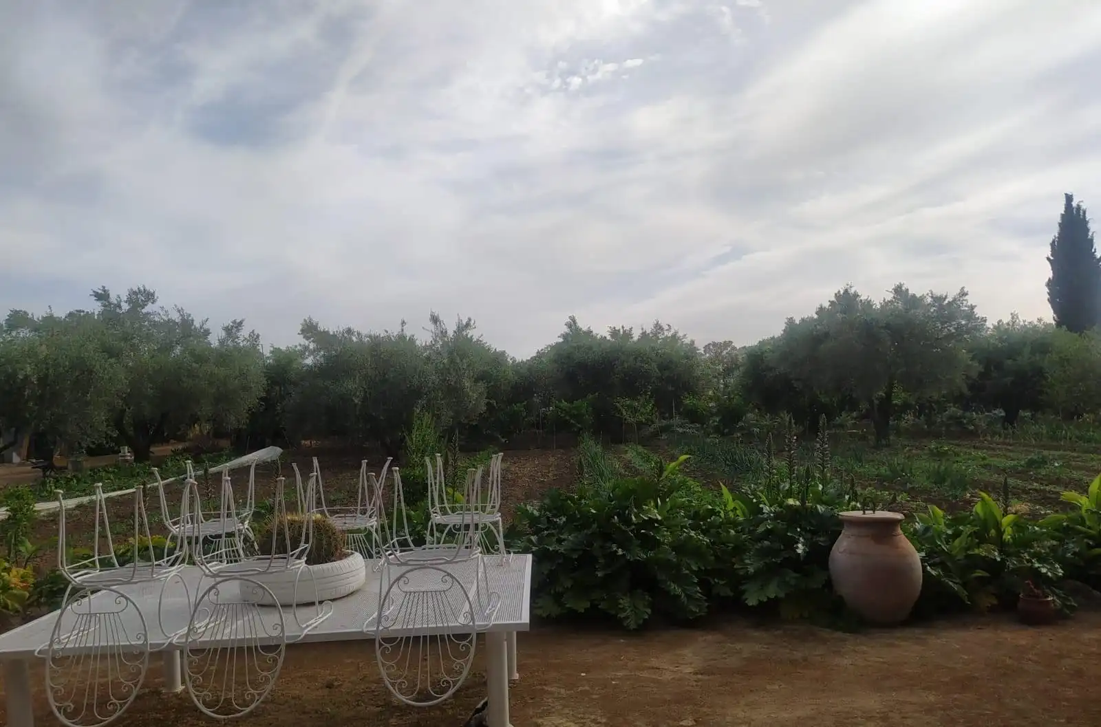 Terreni e lotti in vendita a Villamartín, imagen 12