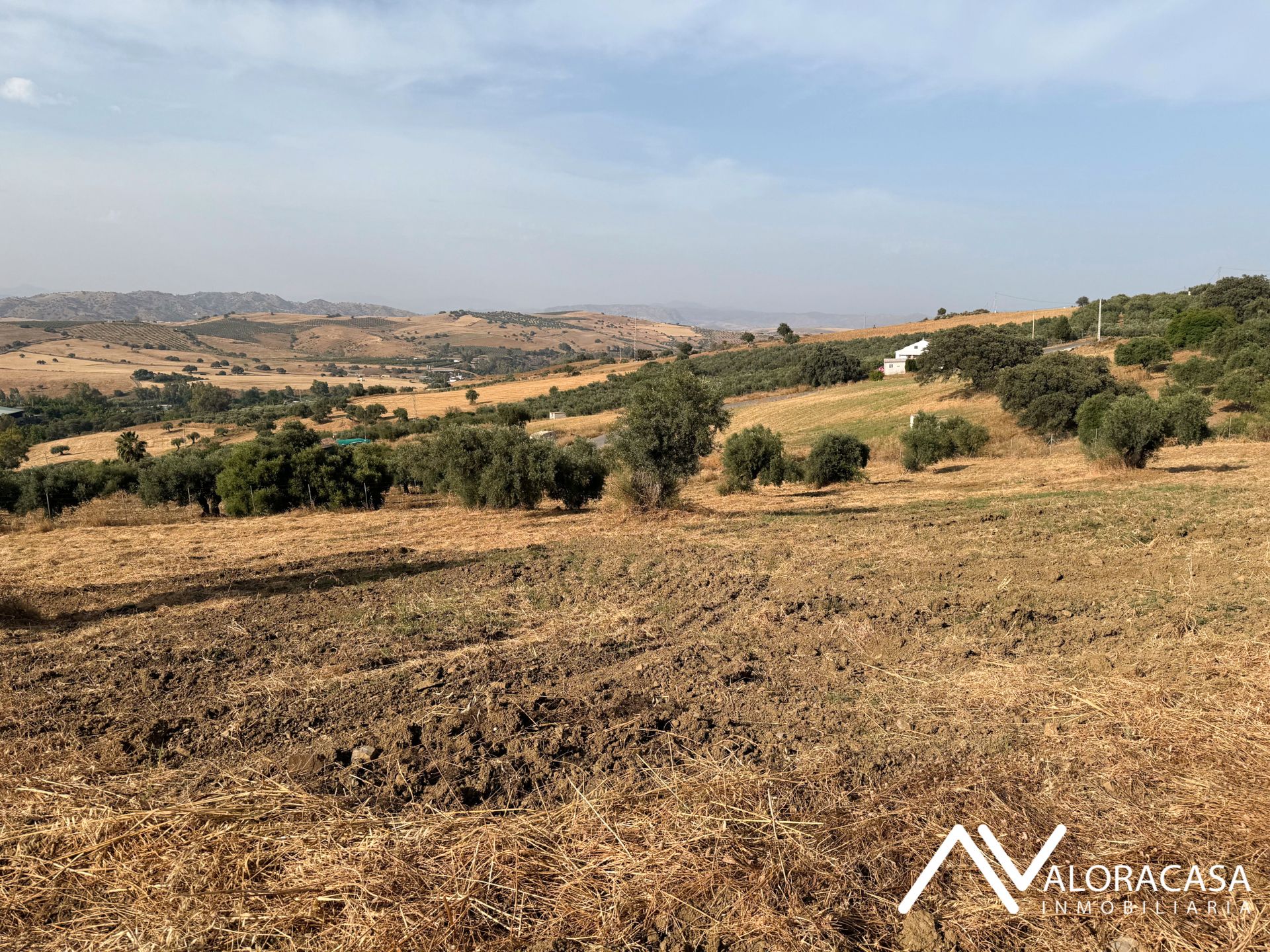Land for sale in Coín
