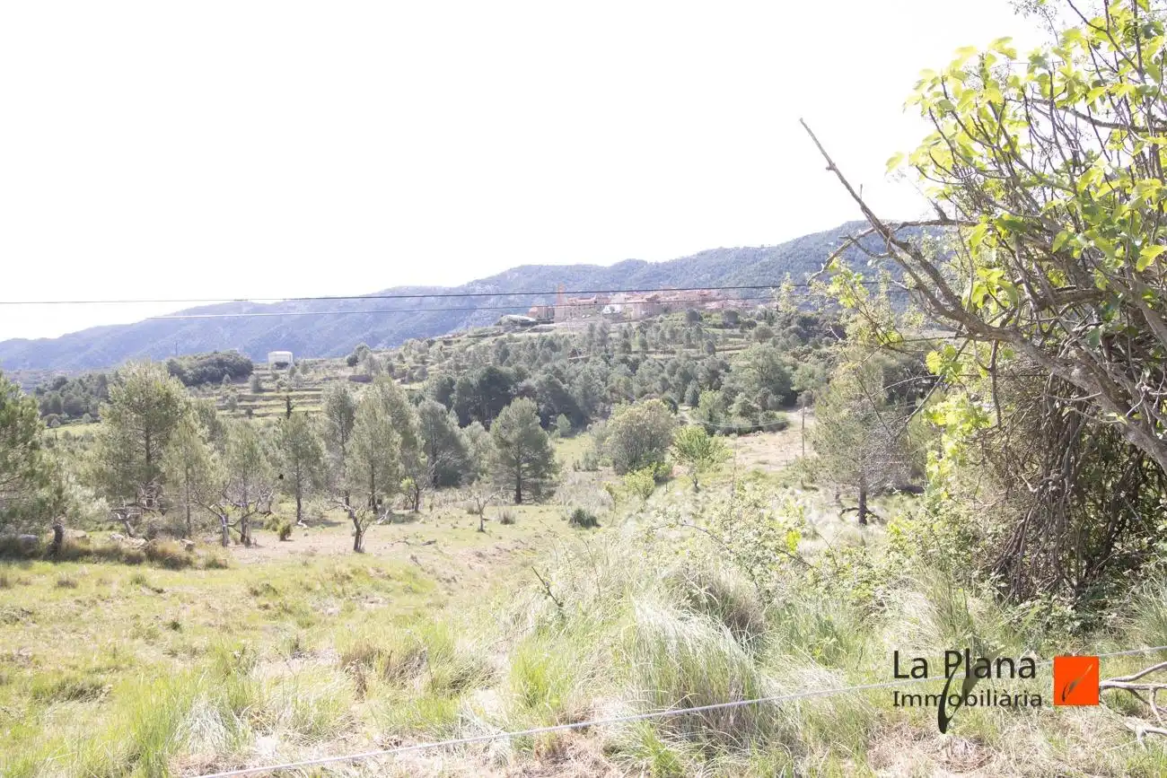 Maison rustique avec jardin à vendre à La Pobla de Benifassà, imagen 23